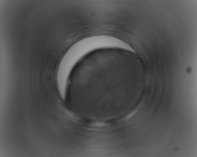 X0000094900575200712131433