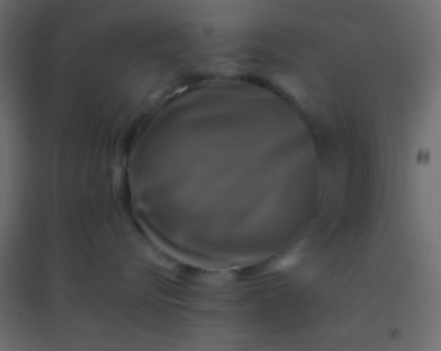 X0000094900576200712131433