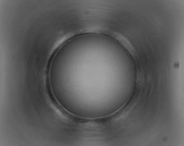 X0000094900578200712131432