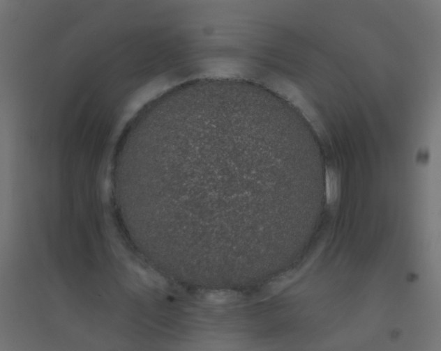 X0000094900579200712131432