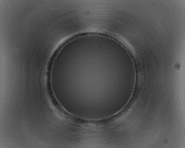 X0000094900580200712131432