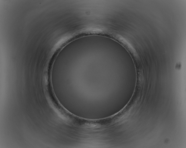 X0000094900582200712131432