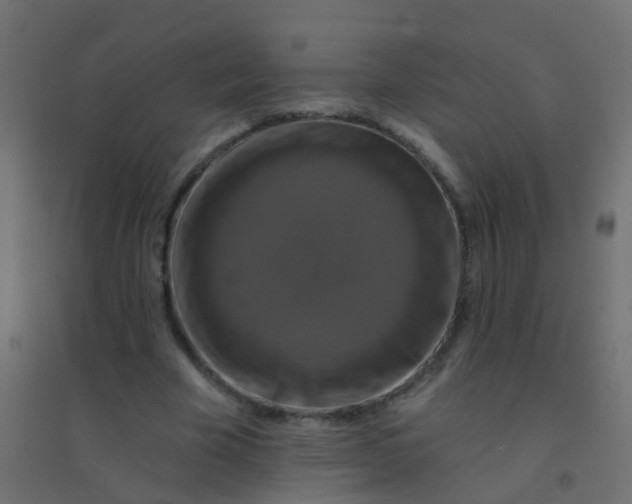 X0000094900585200712131432
