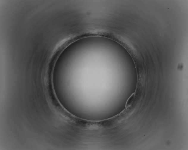 X0000094900587200712131432