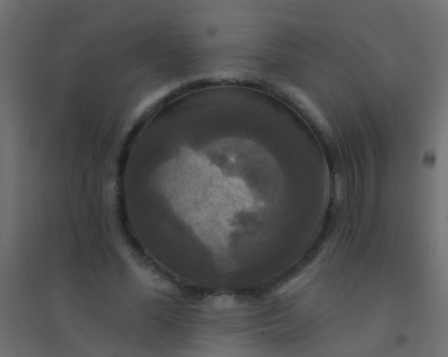 X0000094900588200712131432