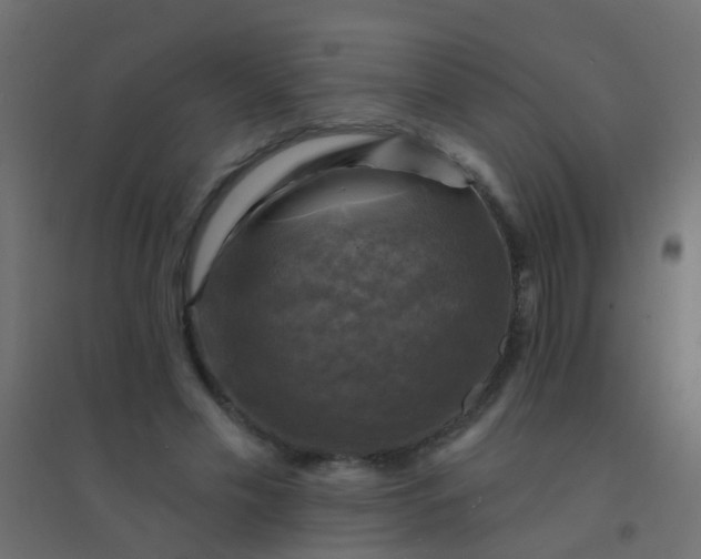 X0000094900589200712131432