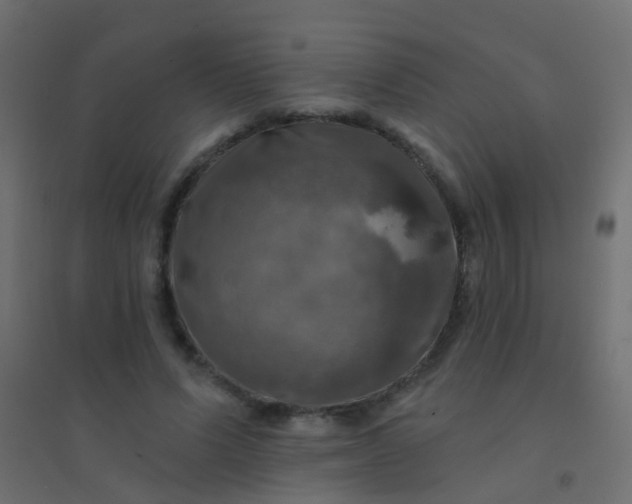 X0000094900591200712131432