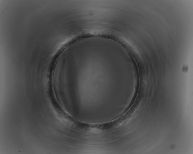 X0000094900592200712131432