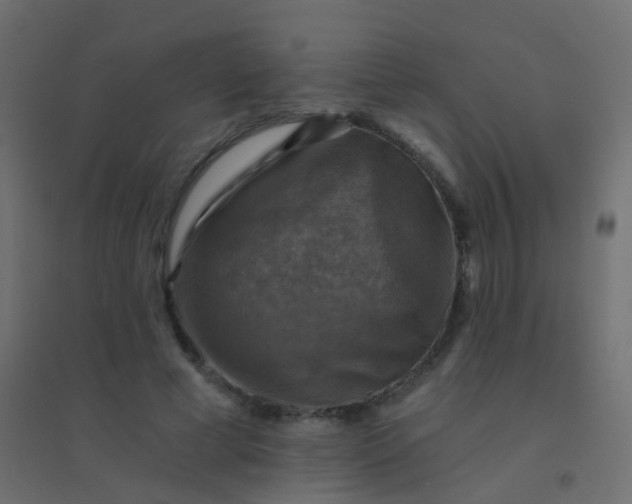 X0000094900593200712131432