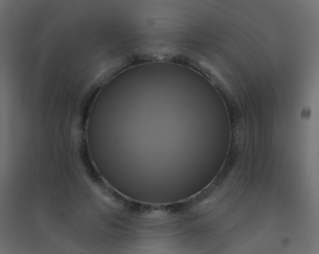 X0000094900594200712131432