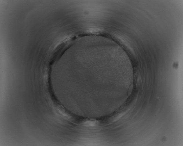 X0000094900595200712131432