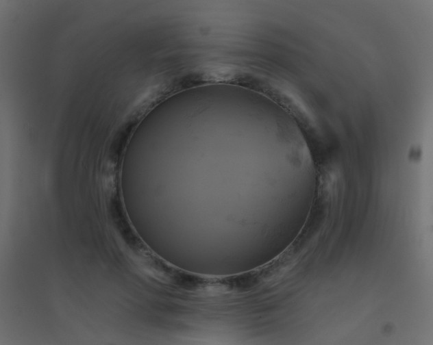 X0000094900598200712131432