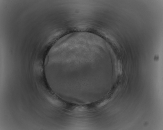 X0000094900599200712131432