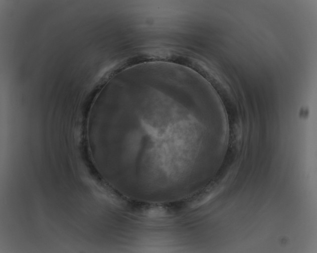 X0000094900600200712131432