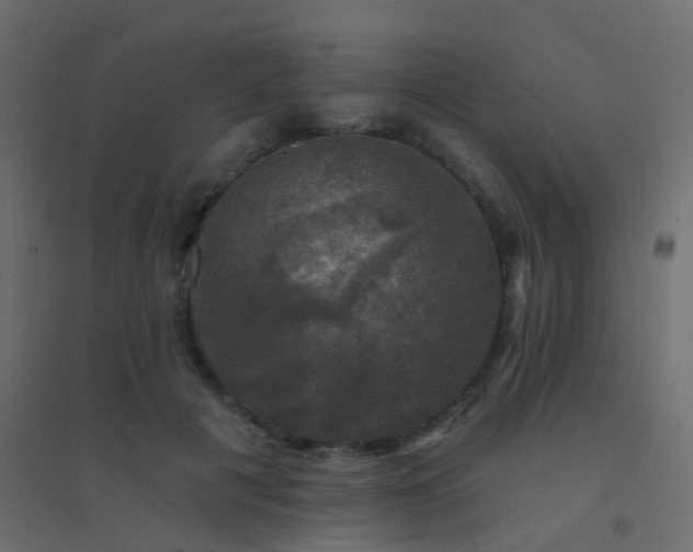 X0000094900601200712131432