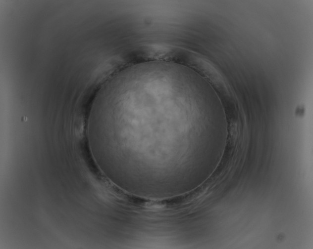 X0000094900602200712131432