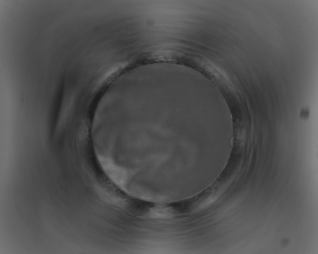 X0000094900603200712131432