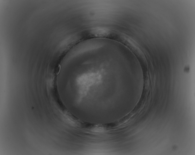 X0000094900604200712131432