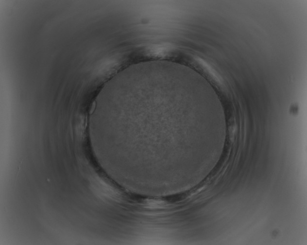 X0000094900605200712131432