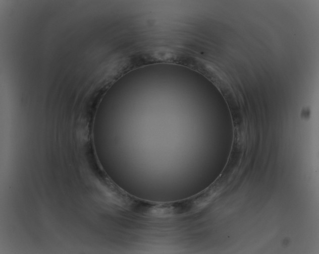 X0000094900606200712131432