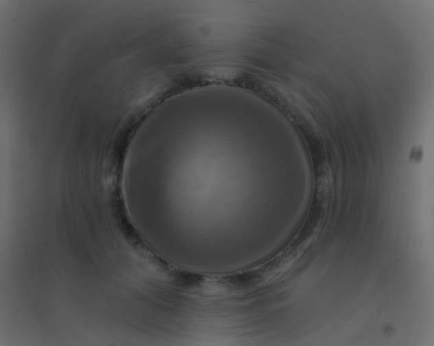 X0000094900608200712131432