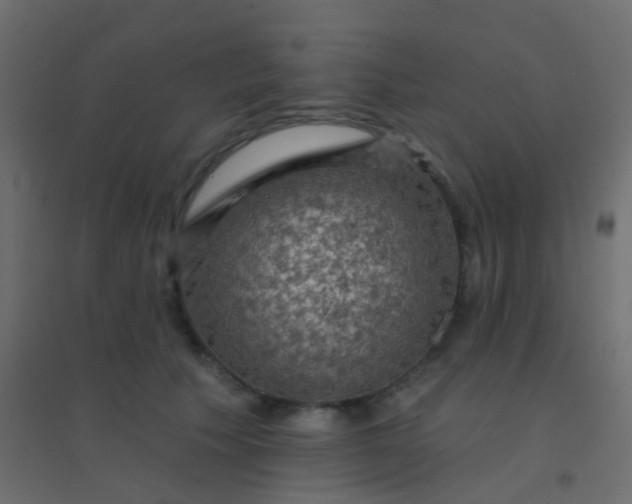 X0000094900609200712131432