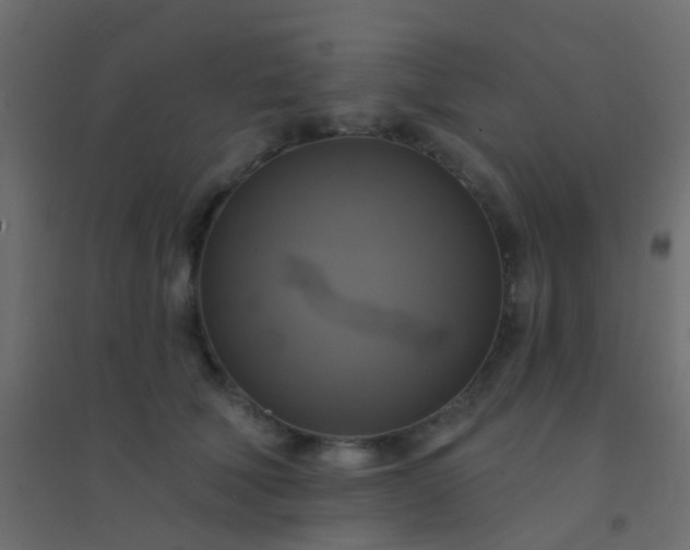 X0000094900610200712131432