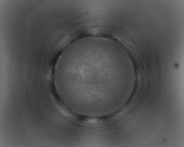X0000094900611200712131432