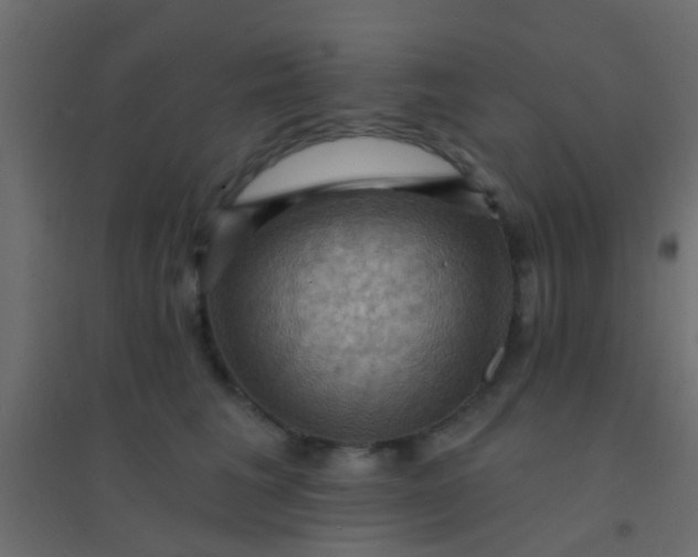 X0000094900613200712131432