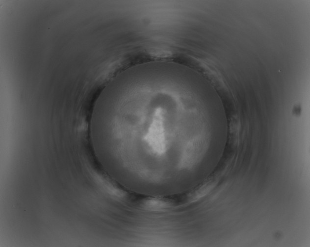 X0000094900614200712131432