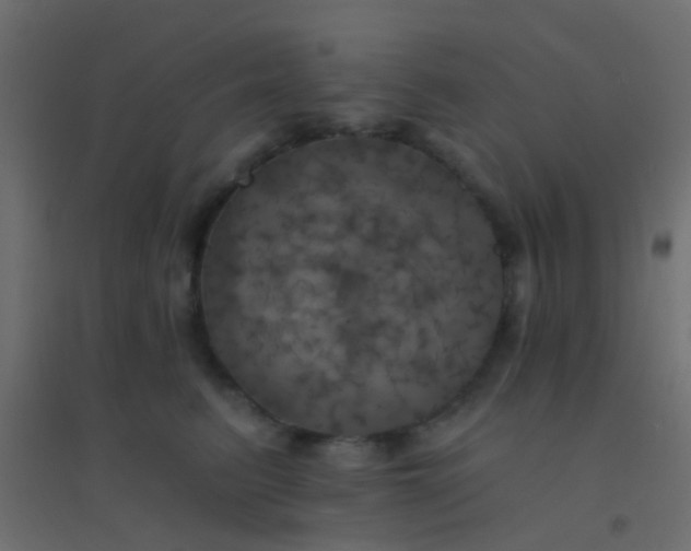 X0000094900615200712131432