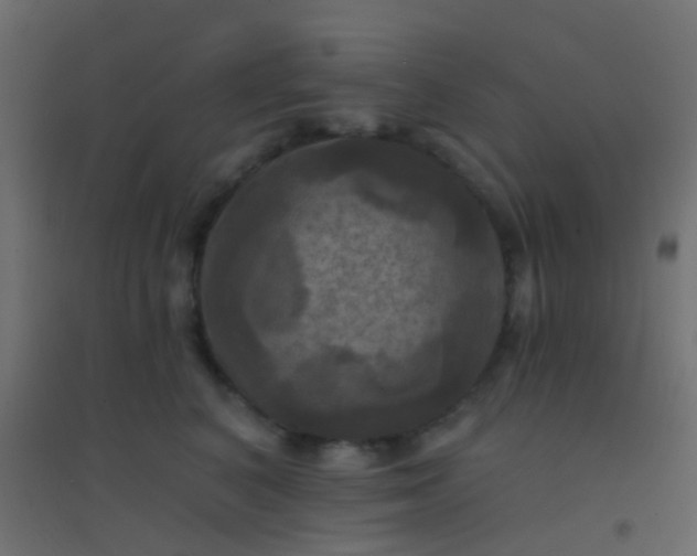 X0000094900616200712131432