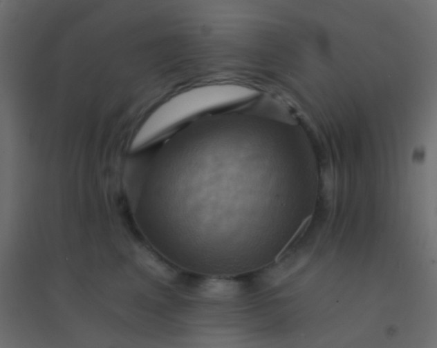 X0000094900617200712131432