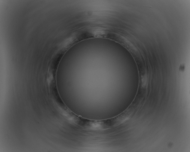 X0000094900618200712131432
