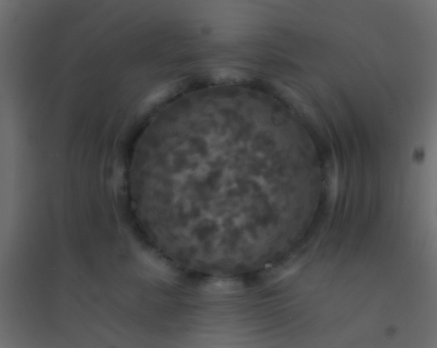 X0000094900619200712131432