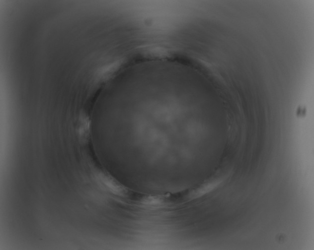 X0000094900624200712131432