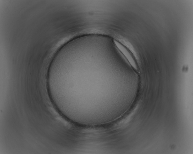 X0000094900625200712131431