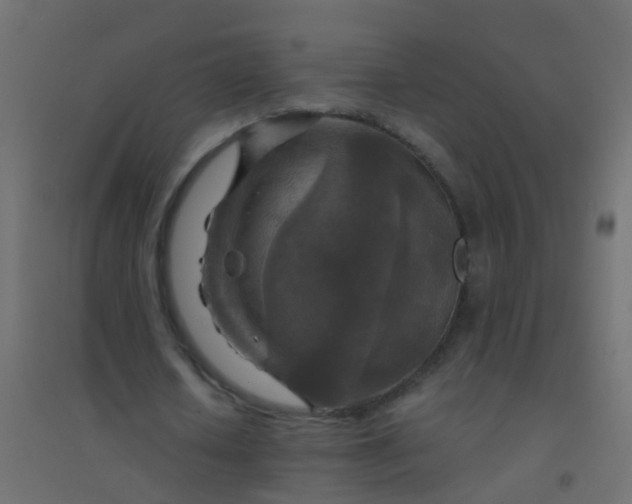 X0000094900626200712131431