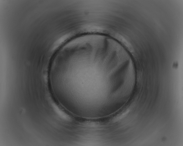 X0000094900629200712131431