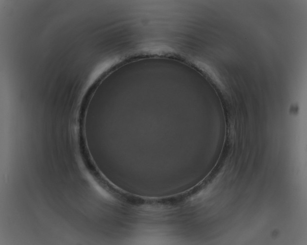X0000094900630200712131431
