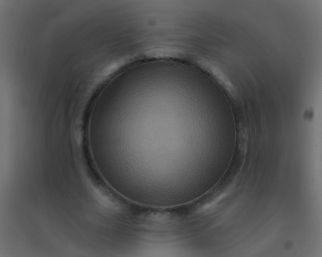 X0000094900631200712131431