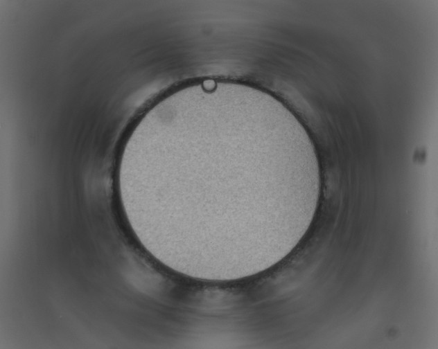 X0000094900632200712131431