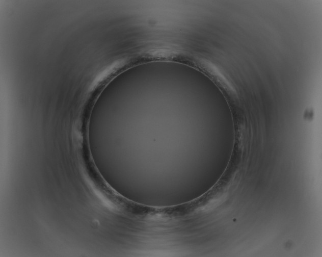 X0000094900634200712131431