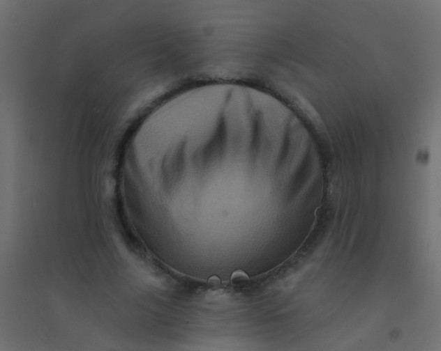 X0000094900635200712131431