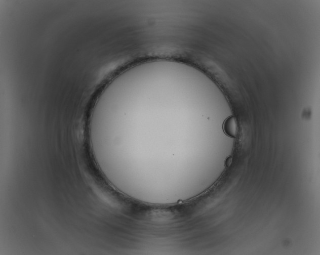 X0000094900636200712131431