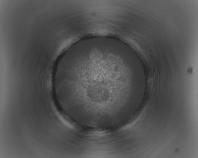 X0000094900638200712131431