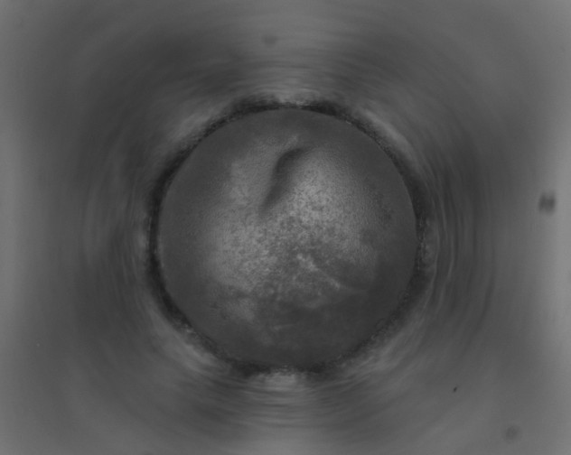 X0000094900639200712131431