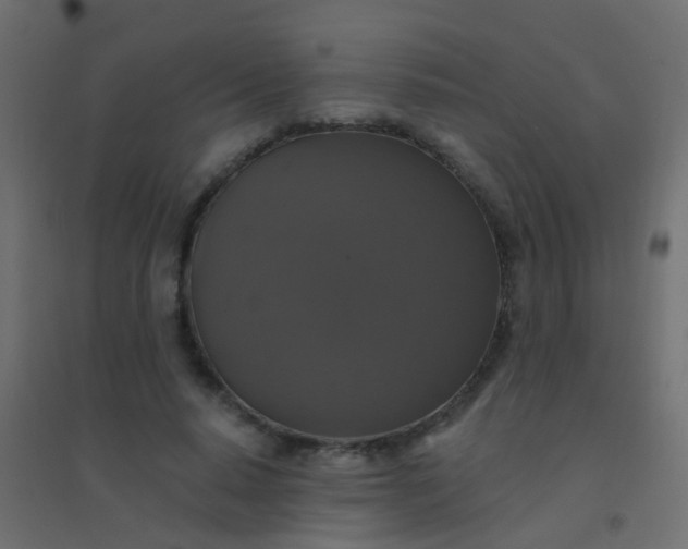 X0000094900640200712131431
