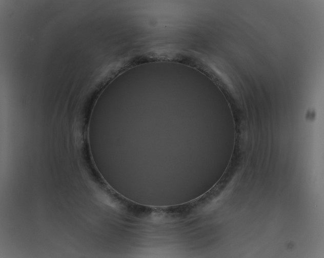 X0000094900641200712131431
