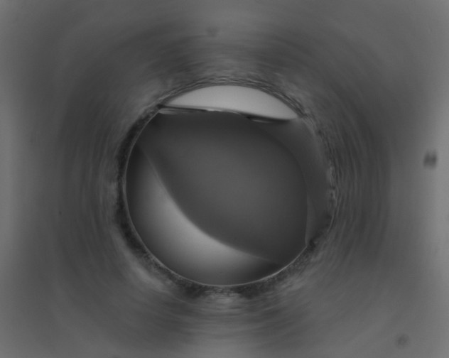 X0000094900642200712131431